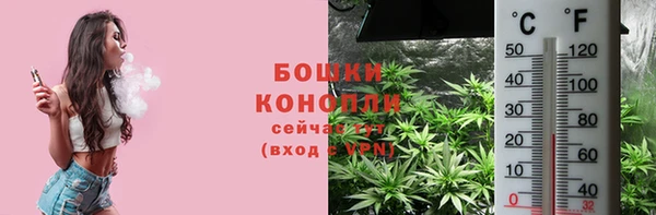 гидра Наволоки