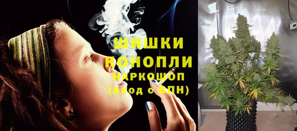 2c-b Надым